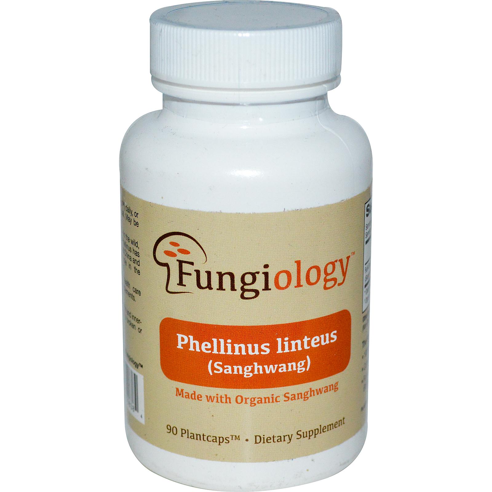 black hoof mushroom ، meshimakobu ، song gen ، sanghwang 